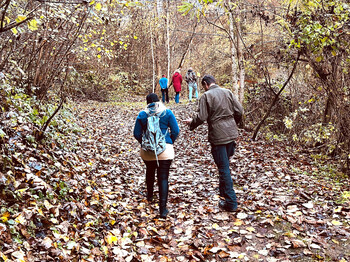 Gruppe von Menschen geht gemeinsam auf einem herbstlichen Waldweg im Rahmen der PlauderWege.