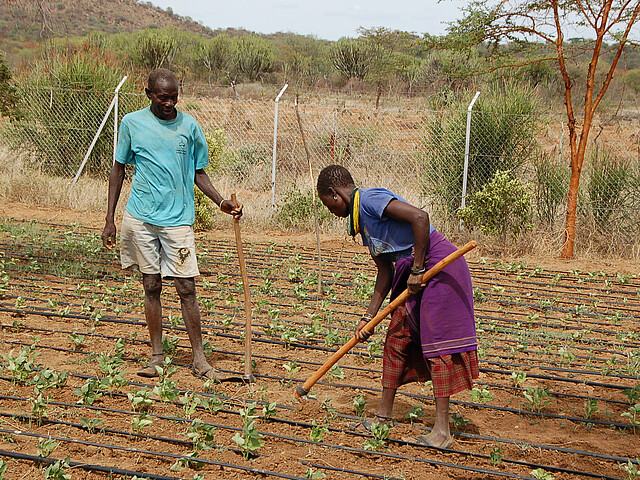 Ein afrikanischer Mann und eine Frau auf den frisch bestellten Feldern in Uganda.